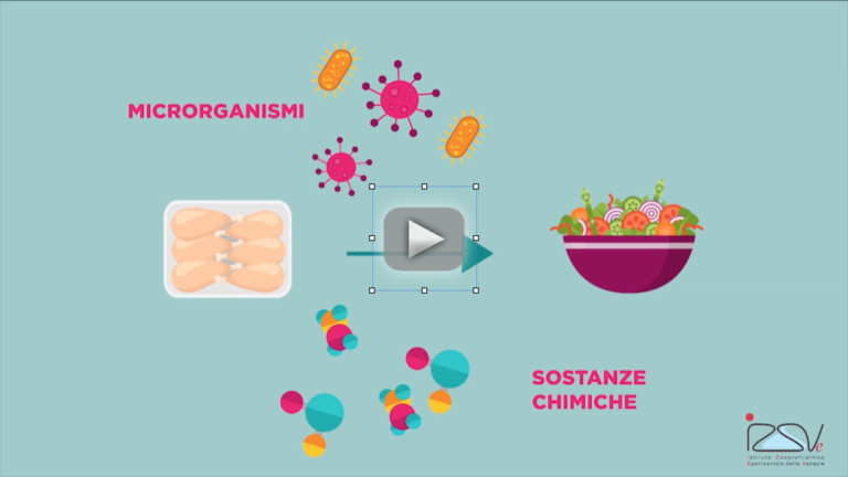 Contaminazioni Crociate Tra Alimenti Il Video Dell Izsve Spiega Cosa Sono