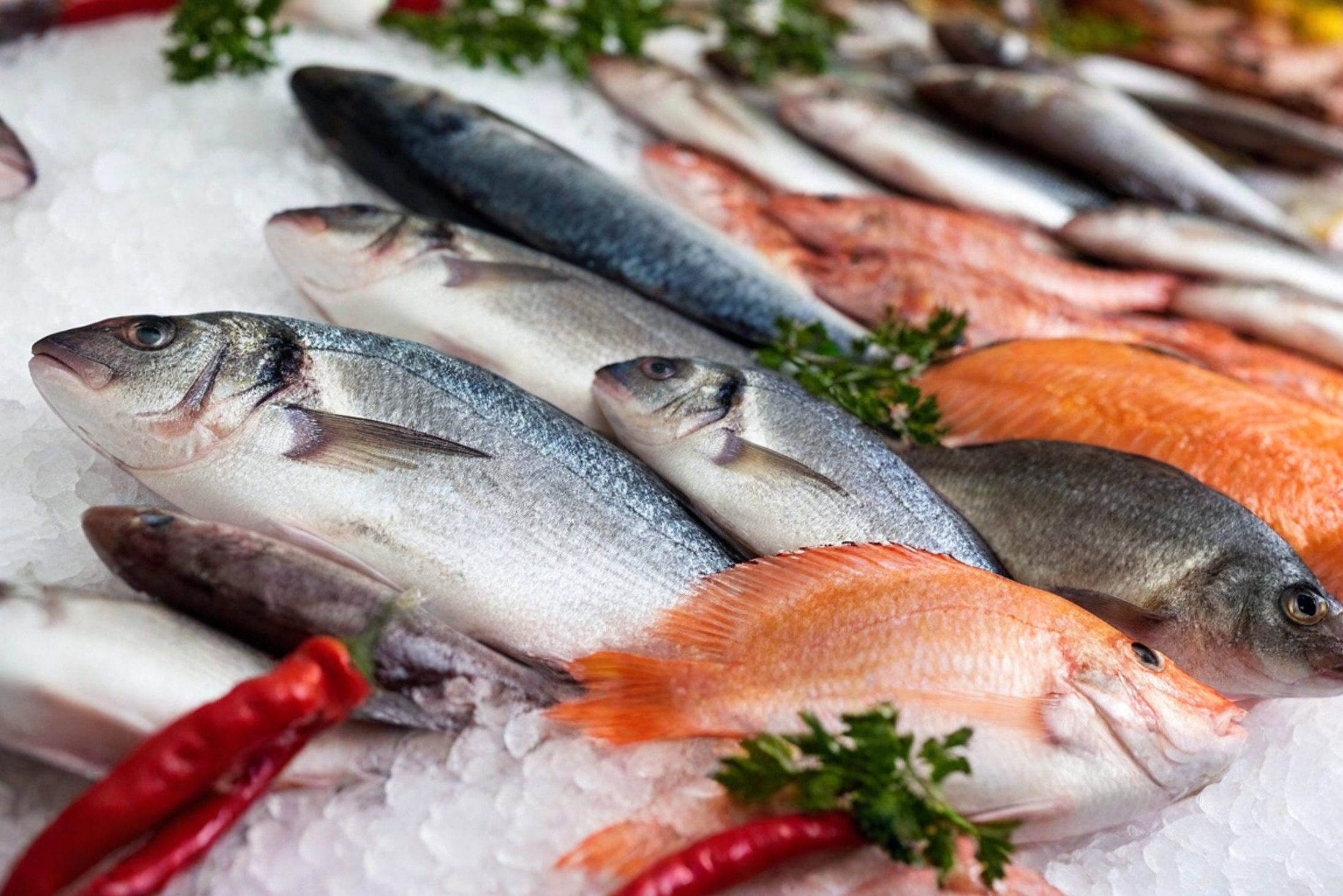 IA pesce pescheria banco del pesce proteine animali Depositphotos_820301864_XL mercurio