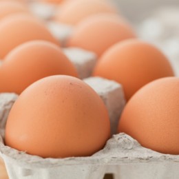 Perché è necessario eliminare le gabbie negli allevamenti di galline  ovaiole - LifeGate