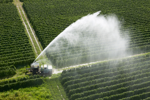 acqua campi irrigazione agricultura
