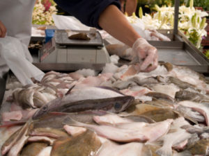 mercato pesce