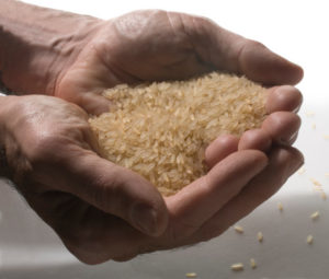 mani riso fame cibo mondo