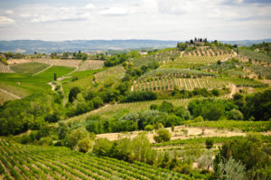 paesaggio vigneti Toscana