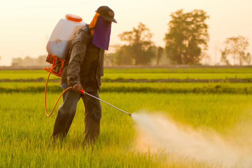 pesticidi erbicidi campi agricoltura uomo
