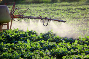 pesticidi e erbicidi campi agricoltura soia