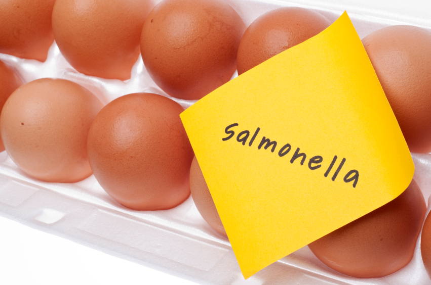 Scritta Salmonella su un post it appoggiato su una confezione di uova