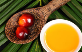 Olio di palma e drupe di palma su un cucchiaio di legno