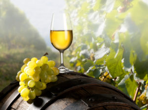 vini, vino bianco in calice su botte con grappolo d'uva e vite sullo sfondo