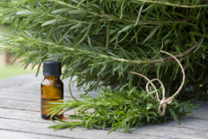 rosmarino odori erbe aromatiche piante olio essenziale iStock_000016442321_Small