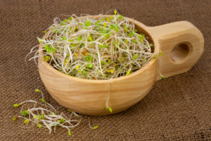 broccoli, radish and clover sprouts in a wooden bowl