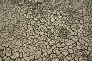 terra secca per la siccità