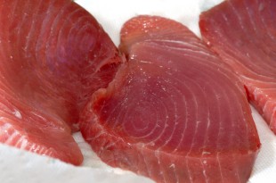 succulent tuna steaks