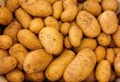 acrilammide patate