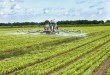 pesticidi erbicidi campi agricoltura 2 glifosato