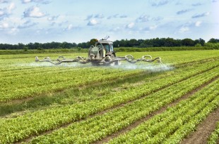 pesticidi erbicidi campi agricoltura 2 glifosato