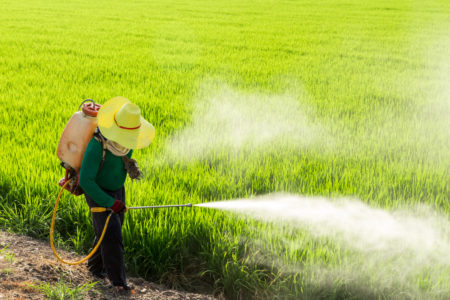 pesticidi erbicidi campi agricoltura riso