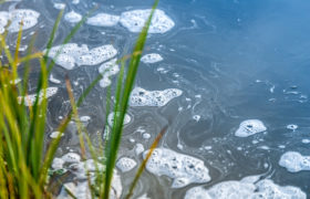 Acqua di un fiume con schiuma; concept: inquinamento, pesticidi