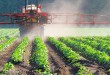 erbicida glifosato pesticidi erbicidi campi agricoltura