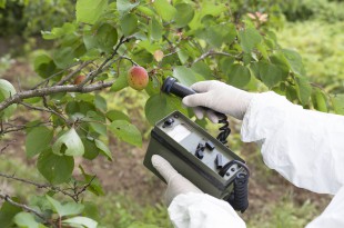 Measuring radiation levels of fruits