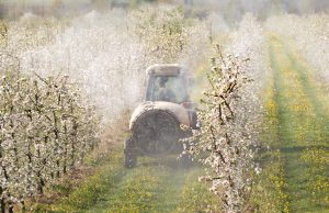 insetticida erbicida pesticidi erbicidi campi agricoltura