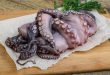 Raw octopus polpo pesce