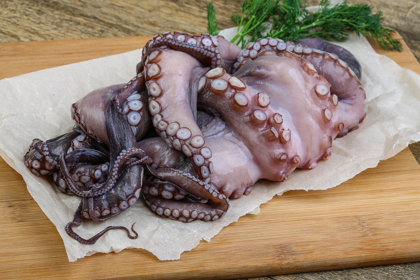 Raw octopus polpo pesce
