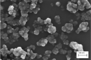 nanoparticelle biossido di silicio