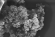 nanoparticelle biossido di titanio