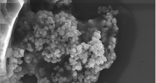 nanoparticelle biossido di titanio