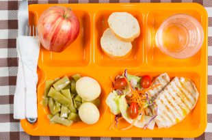 vassoio mensa scolastica School lunch tray