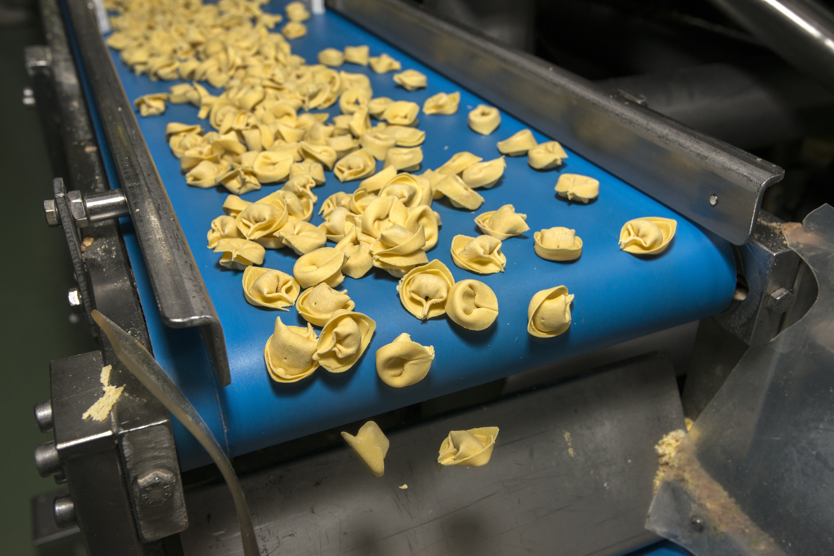 Tortellini appena prodotti su un nastro trasportatore in un'azienda alimentare; concept: pasta fresca ripiena