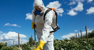 pesticidi erbicidi campi agricoltura uomo