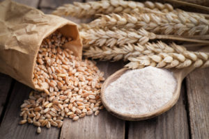 Farina integrale, chicchi di frumento e spighe; concept: grano, grani antichi