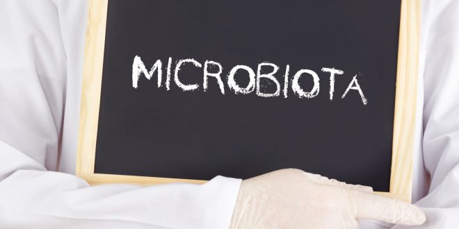 microbiota
