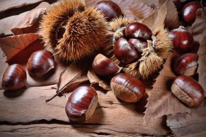 Castagne o marroni e ricci di castagne su un tavolo