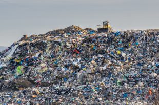 spazzatura inquinamento plastica rifiuti spazzatura