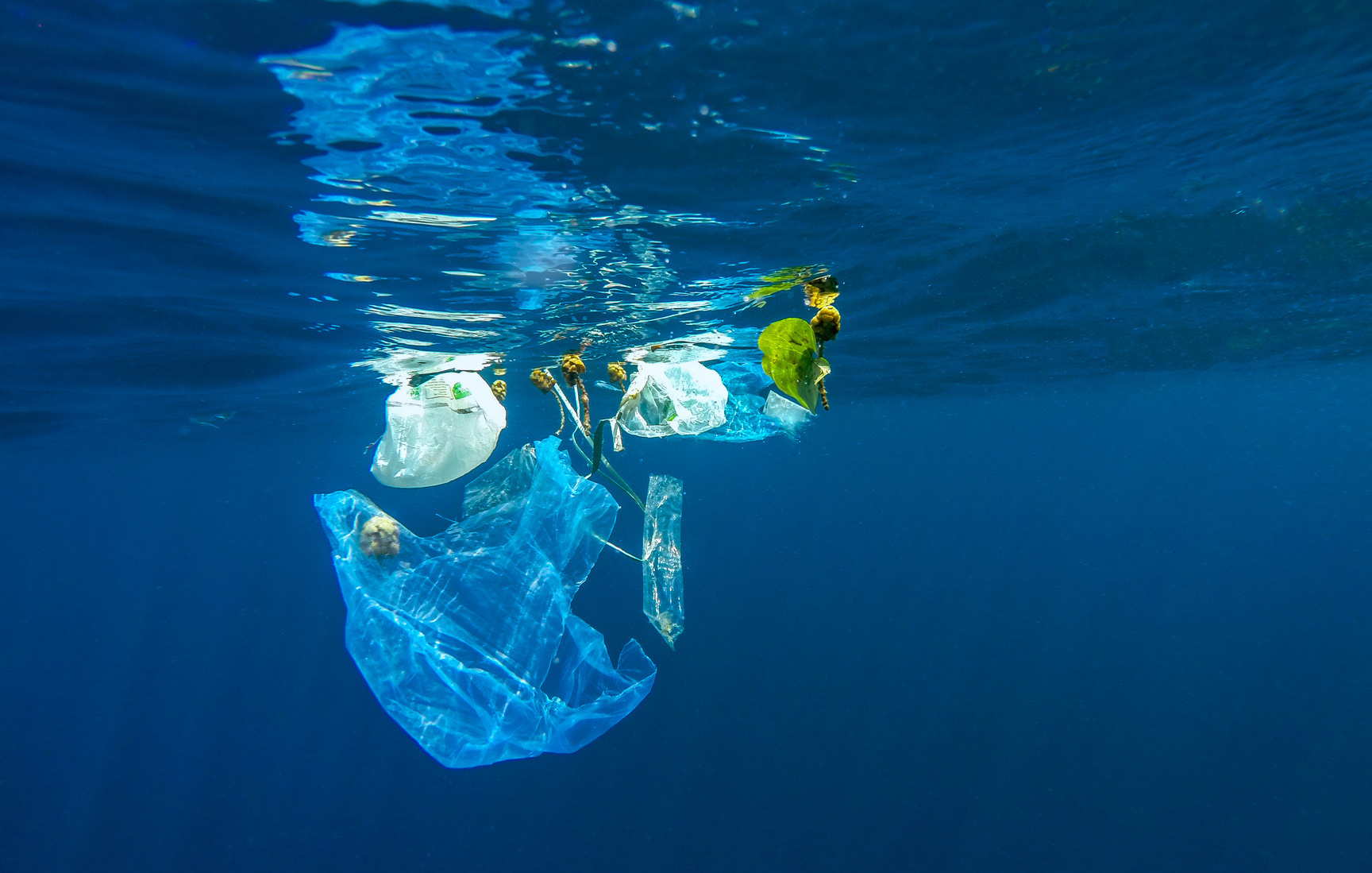 rifiuti plastica oceano inquinamento