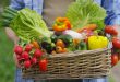 frutta verdura bio vegatali