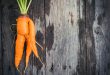 Ugly carrot on barn wood