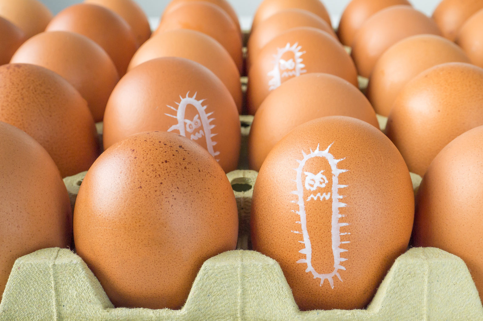 Batteri disegnati su gusci d'uovo; concept: salmonella