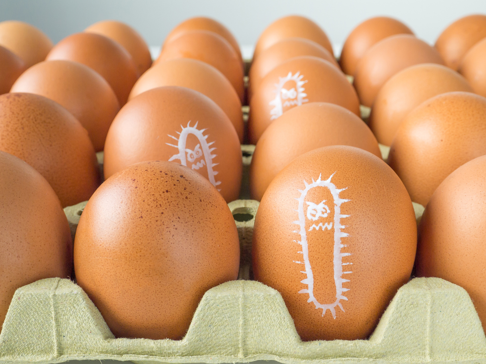 Uova, Salmonella bacterium drawn on eggs