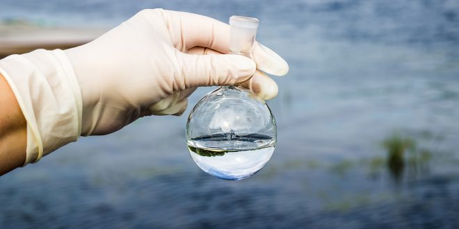 Gli allevamenti intensivi riversano batteri resistenti agli antibiotici nei fiumi britannici