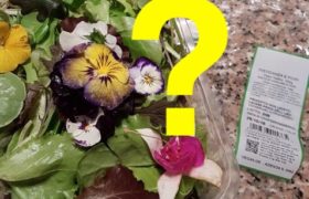 misticanza e fiori insalata 2