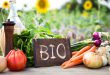 Bio Bank, agricoltura biologica bio verdura