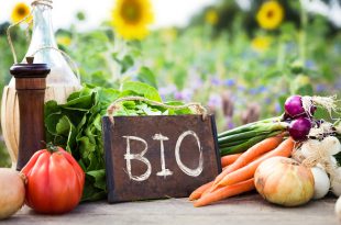 Bio Bank, agricoltura biologica bio verdura