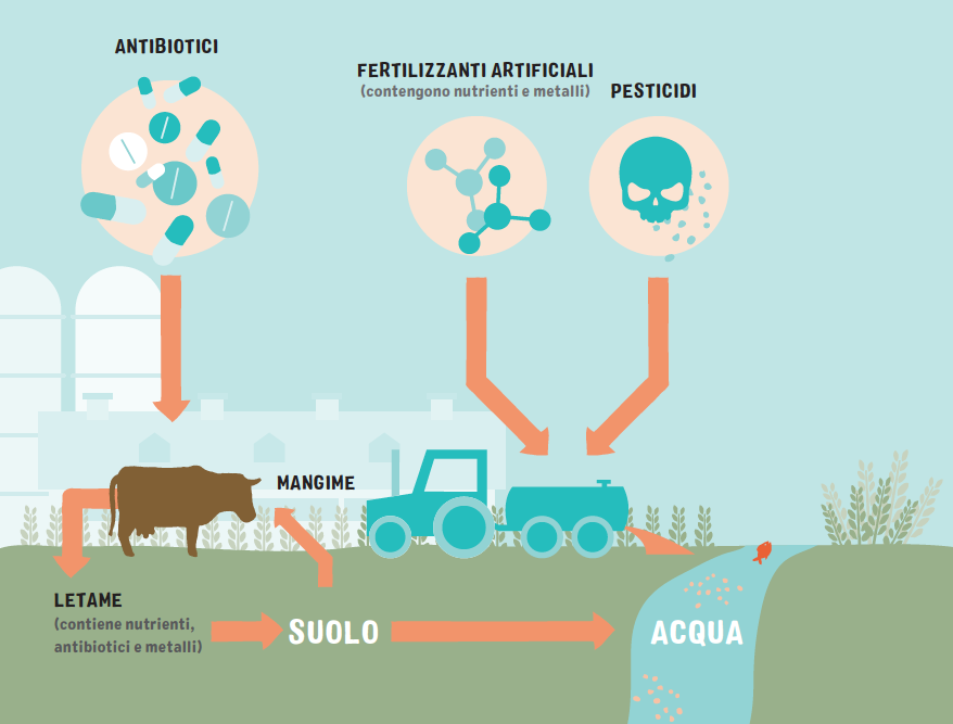 antibiotici pesticidi allevamento agricoltura acqua greenpeace
