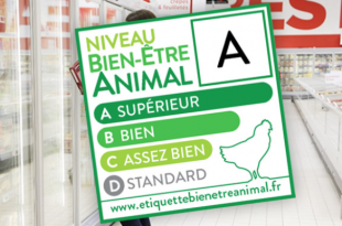 etichetta benessere animale casino francia