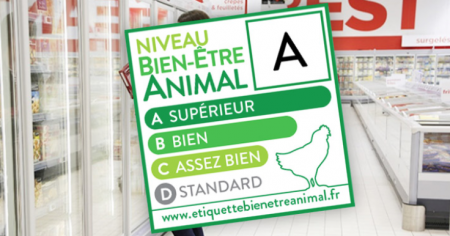 etichetta benessere animale casino francia