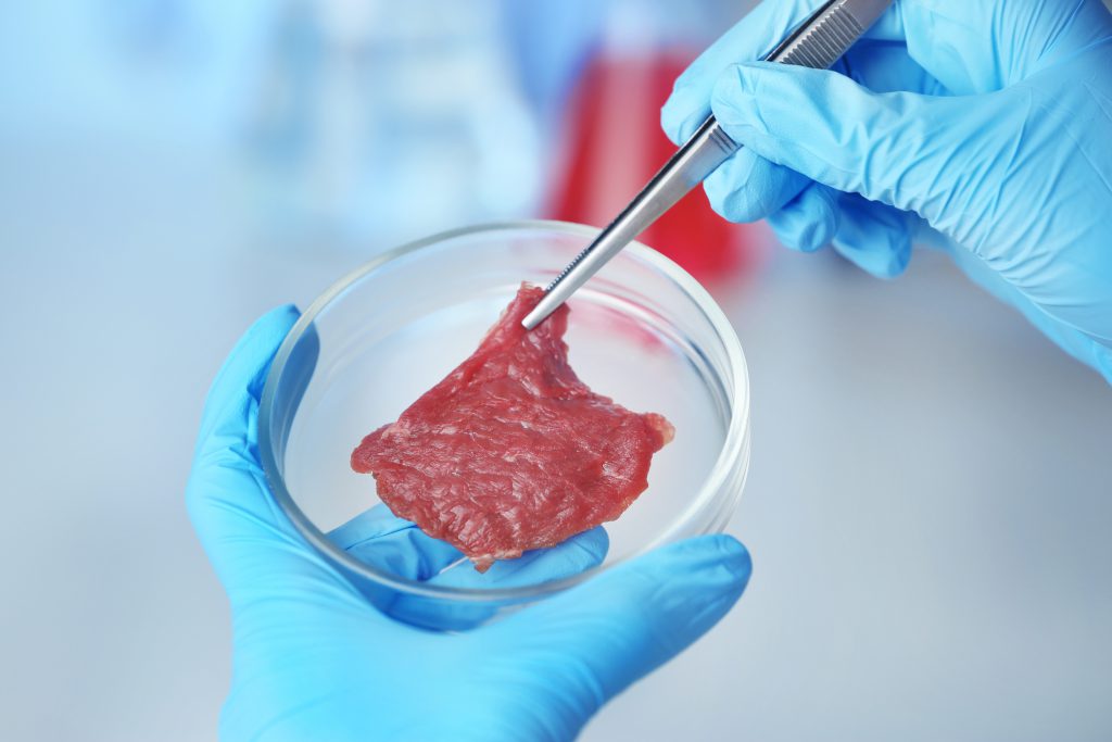 Scientist inspecting meat sample at laboratory