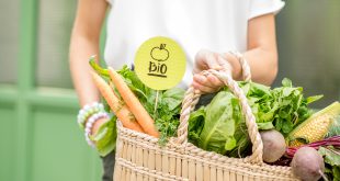 Bio Bank, Bag with fresh vegetables